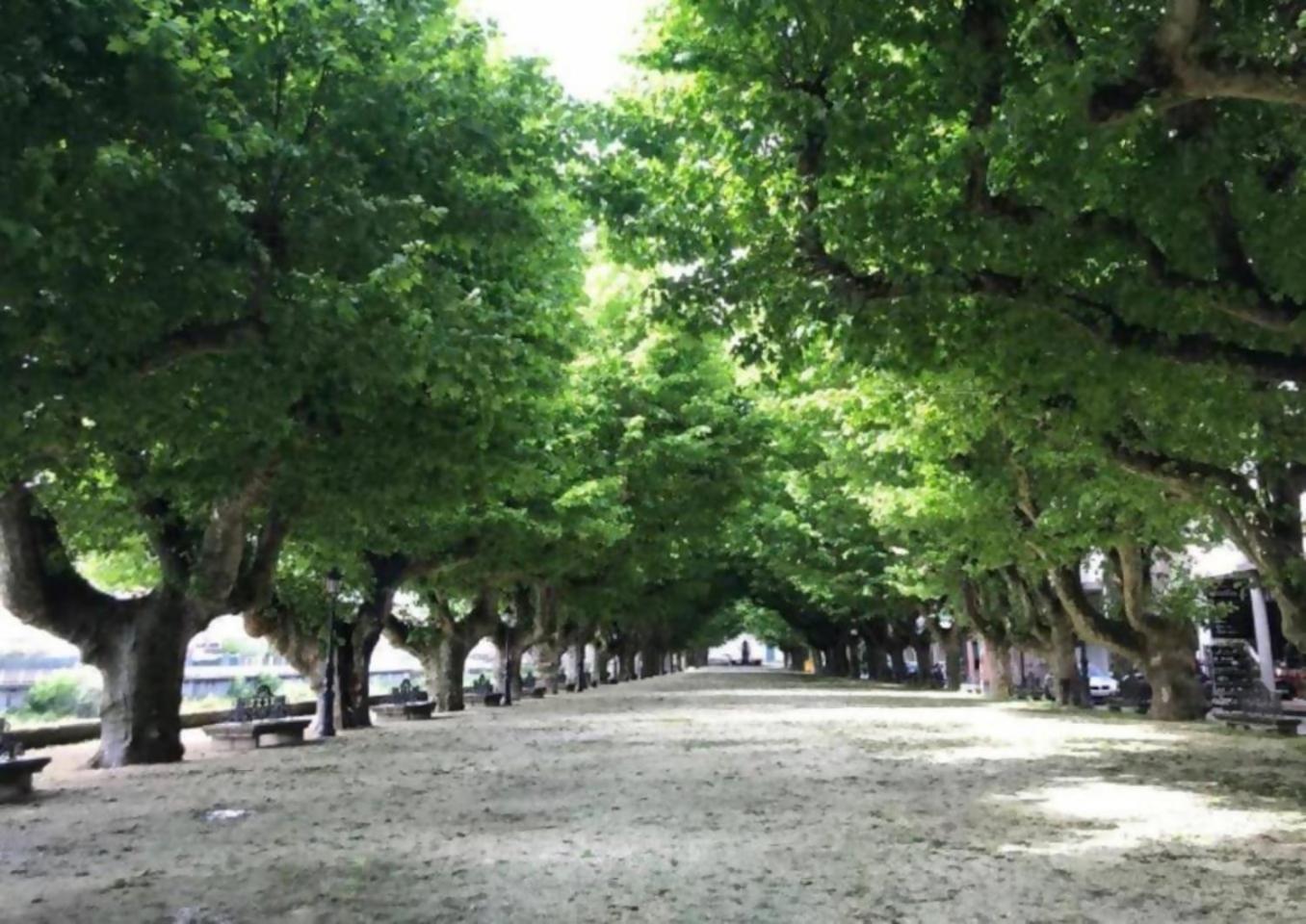 Apartamento Ryr Padrón Εξωτερικό φωτογραφία